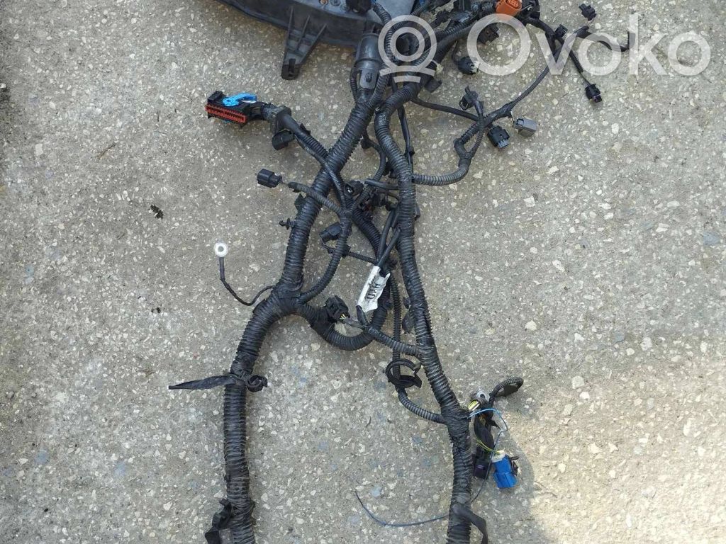 Ford C-MAX II Engine installation wiring loom 