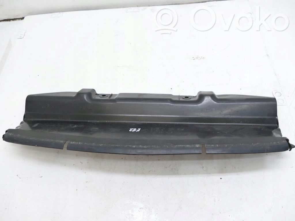 BMW 1 E82 E88 Apatinė dalis radiatorių panelės (televizoriaus) 