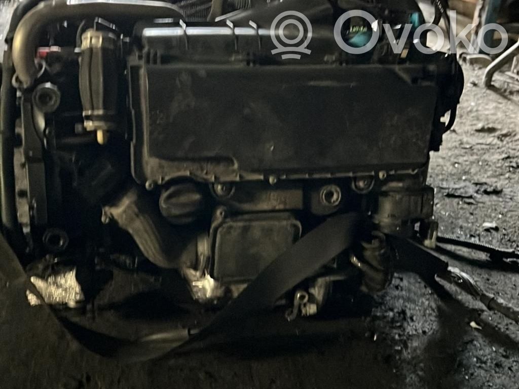 Variklis   00000135EJ