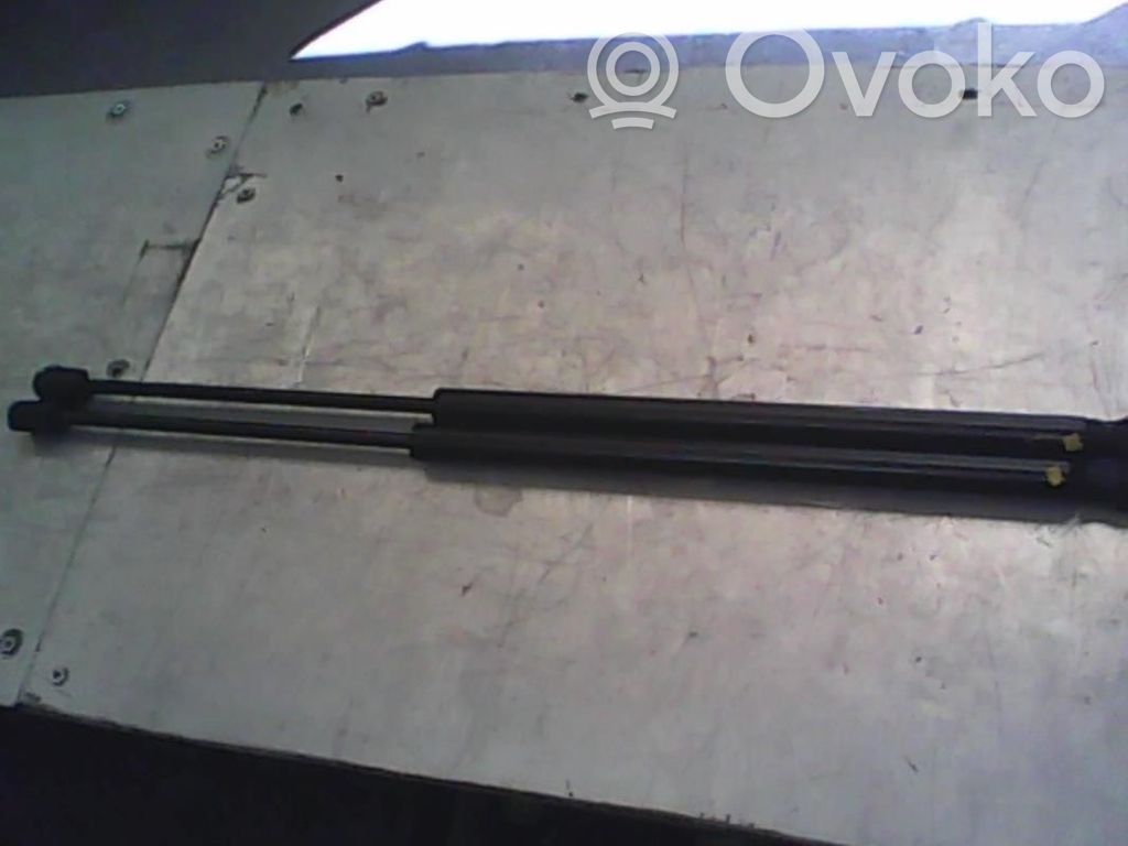 Ford Focus Tailgate/trunk strut/damper 