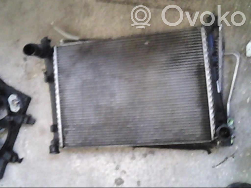 Coolant radiator   C20115200