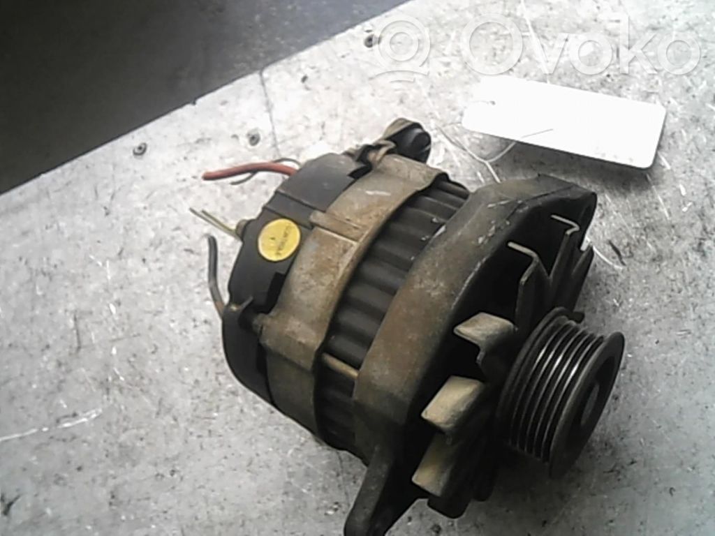 Renault 19 Generatorius 