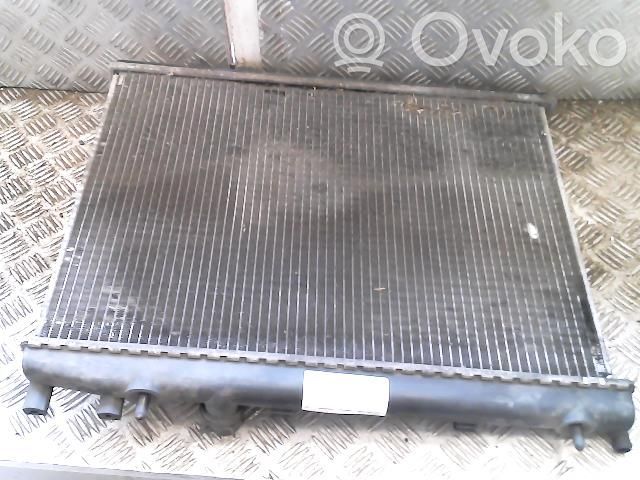 Peugeot 206 CC Radiator lichid răcire 