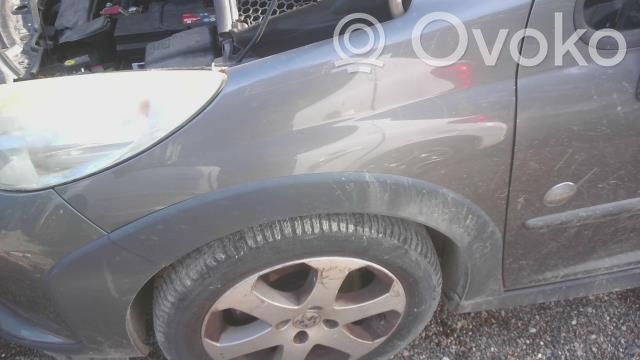 Peugeot 207 Guardabarro 