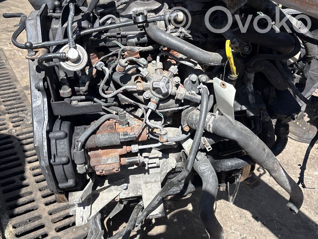 Ford Focus Двигатель 