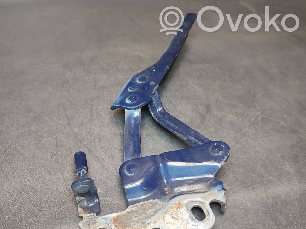 Volkswagen PASSAT B6 Balamale capotă 