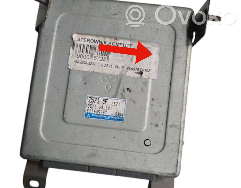 Sterownik / Moduł ECU   Z5715F,E2T84976T,ZS7118881