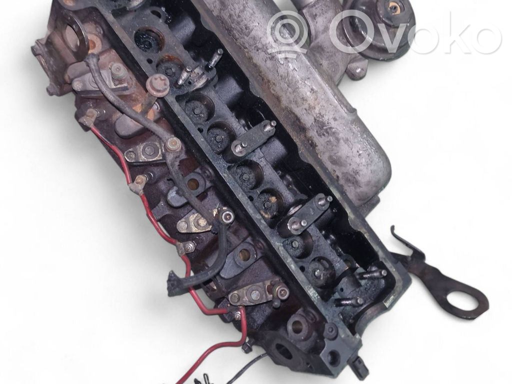 Galvutė   XS406090AD