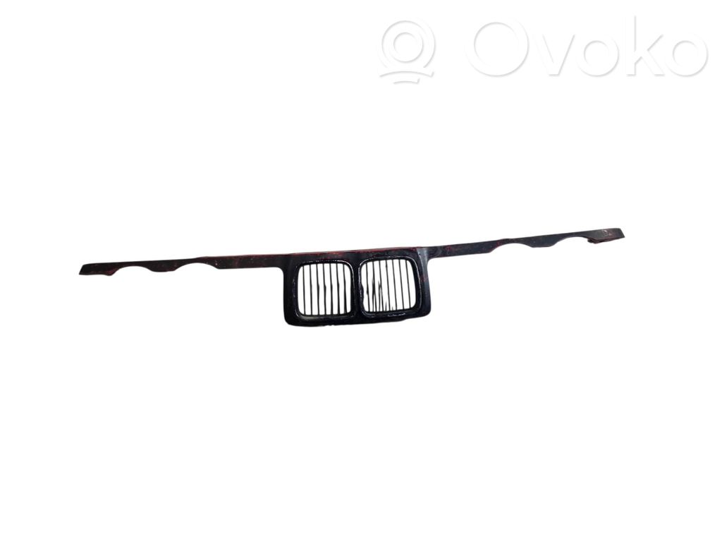Front grill   51131973825