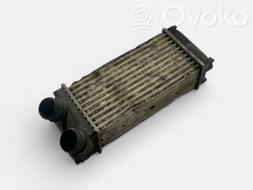 Peugeot 307 Intercooler radiator 