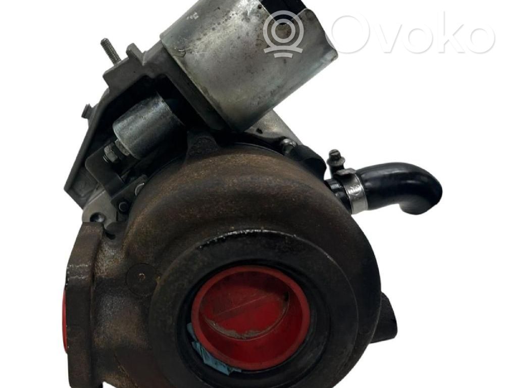 Turbo   4913505610,11657795499,11657795499