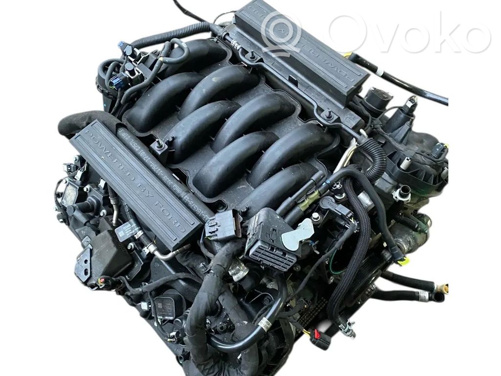 Motor   M6007M52CM52D