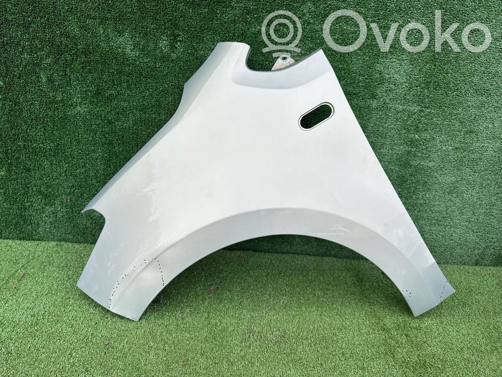 Guardabarro   1S0821110F