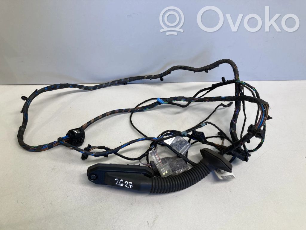 BMW X5 E70 Cableado de puerta trasera 