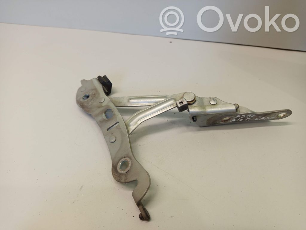 Tailgate/trunk/boot hinge   30649609