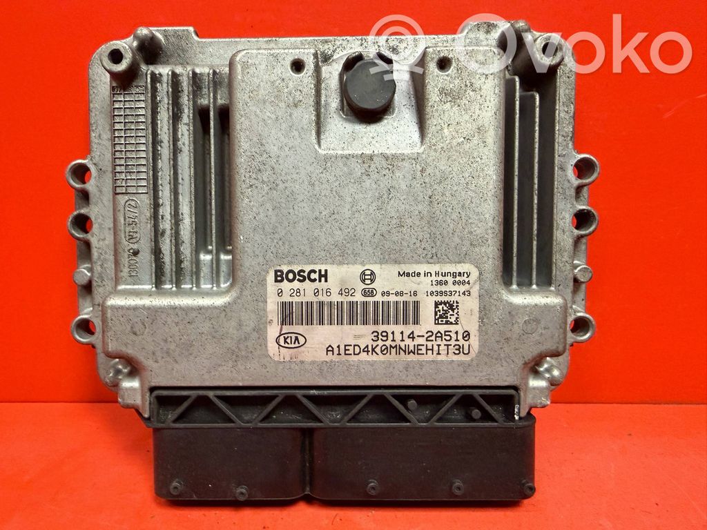 Unidad de control/módulo del motor   0281016492,391142A510