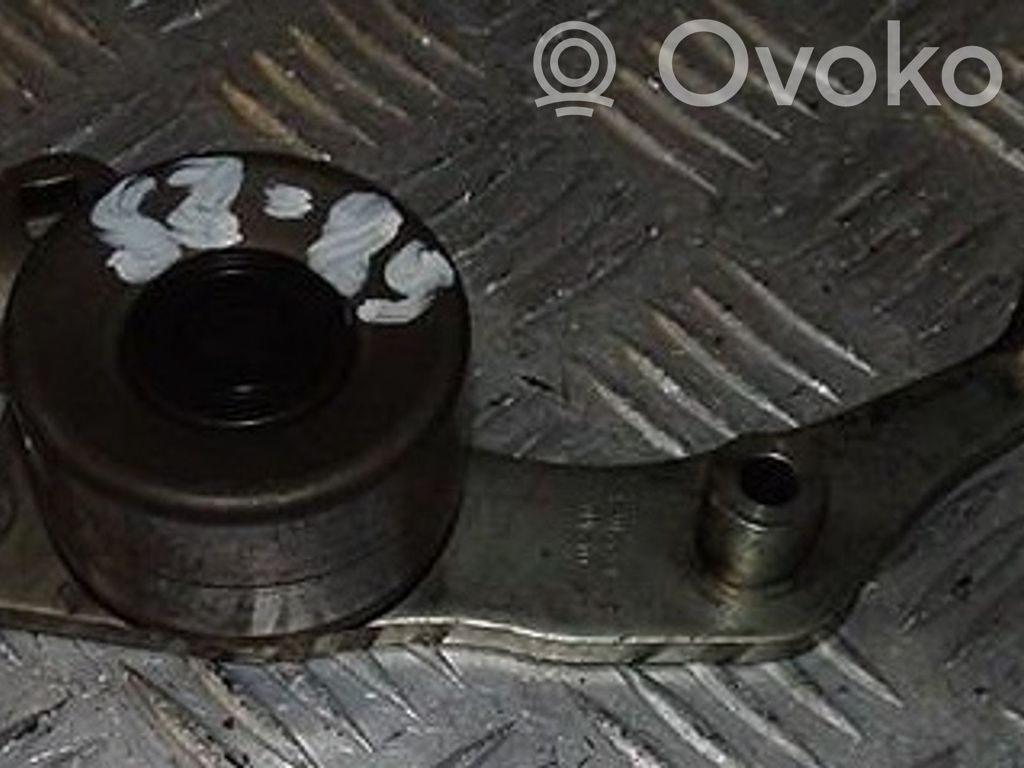 Peugeot 406 Paskirstymo diržo įtempėjas 