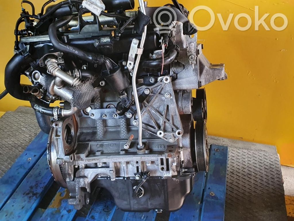 Motor   Z13DT