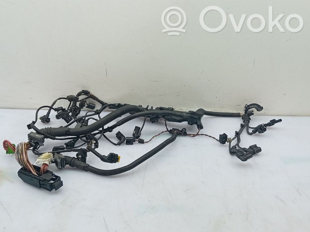 Engine installation wiring loom   850789307,758065306E