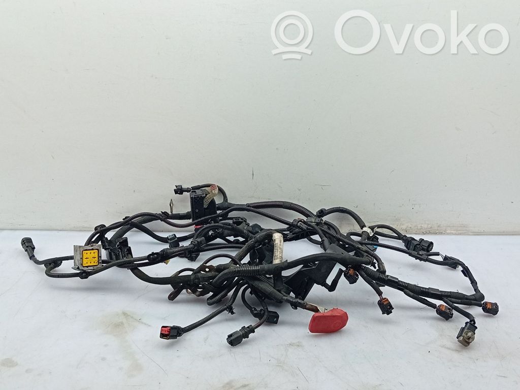Engine installation wiring loom   9801722780