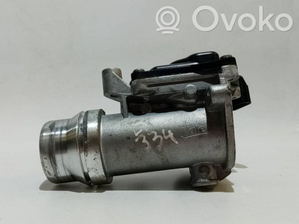 Elektrische Drosselklappe   161A09287R
