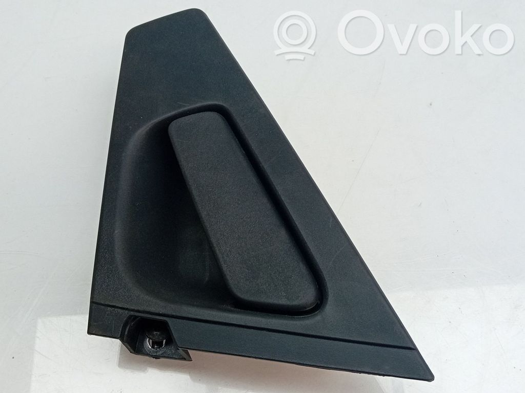 Türgriff Türöffner hinten   806064967R