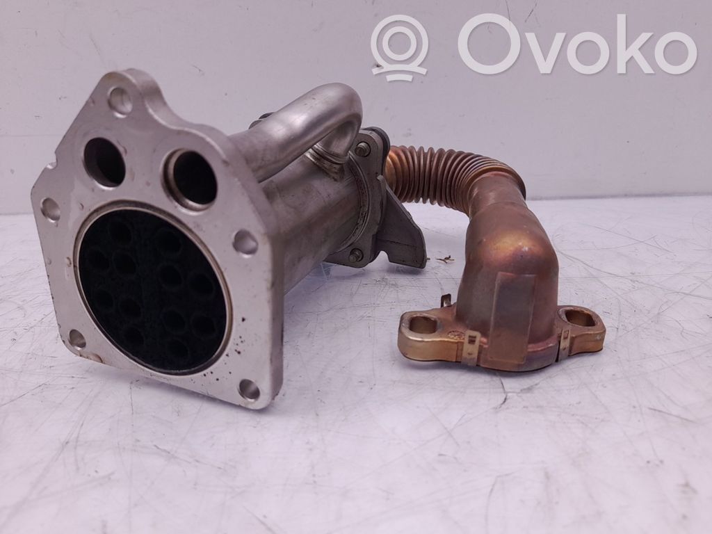 Renault Megane III Valvola di raffreddamento EGR
