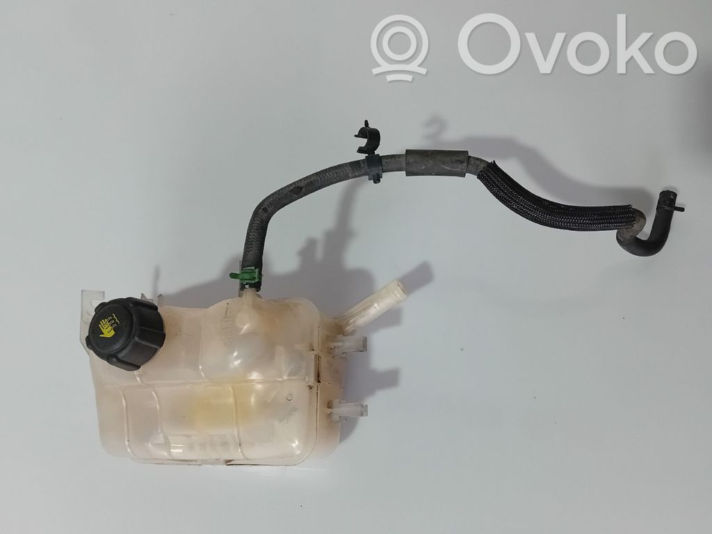 Renault Megane III Serbatoio di compensazione del liquido refrigerante/vaschetta