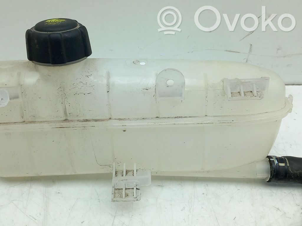 Depósito del refrigerante   217101652R