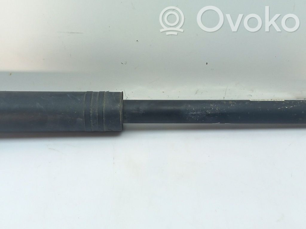 Stoßdämpfer hinten   13412740