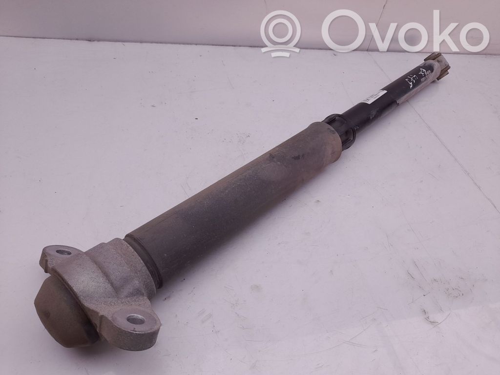 Stoßdämpfer hinten   JX6118080EKE