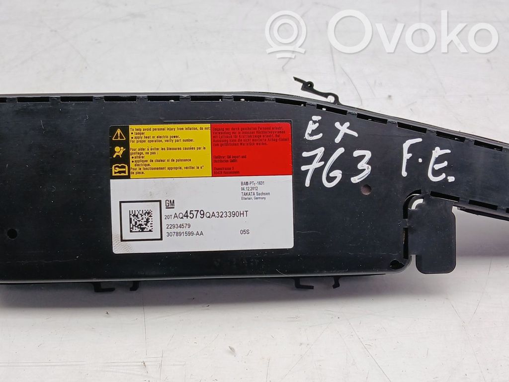 Sitz-Airbag   22934579