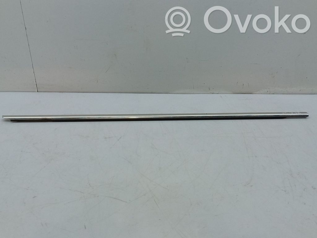 Volkswagen PASSAT B6 Rivestimento della portiera anteriore (modanatura) 