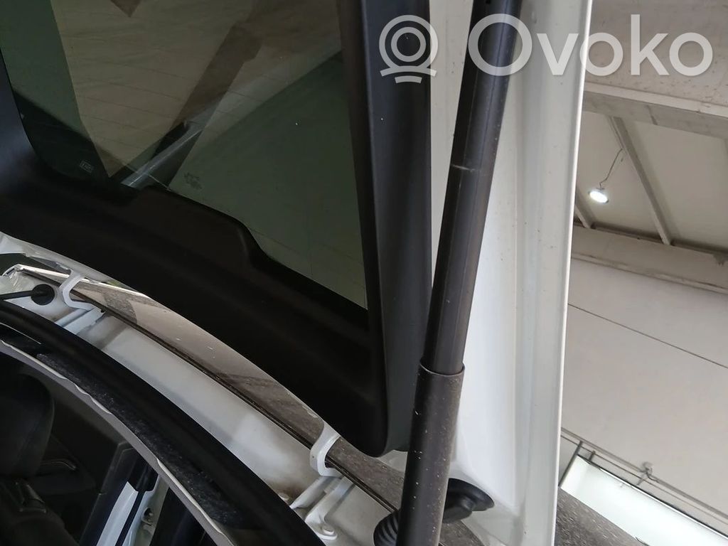 Tailgate/trunk strut/damper