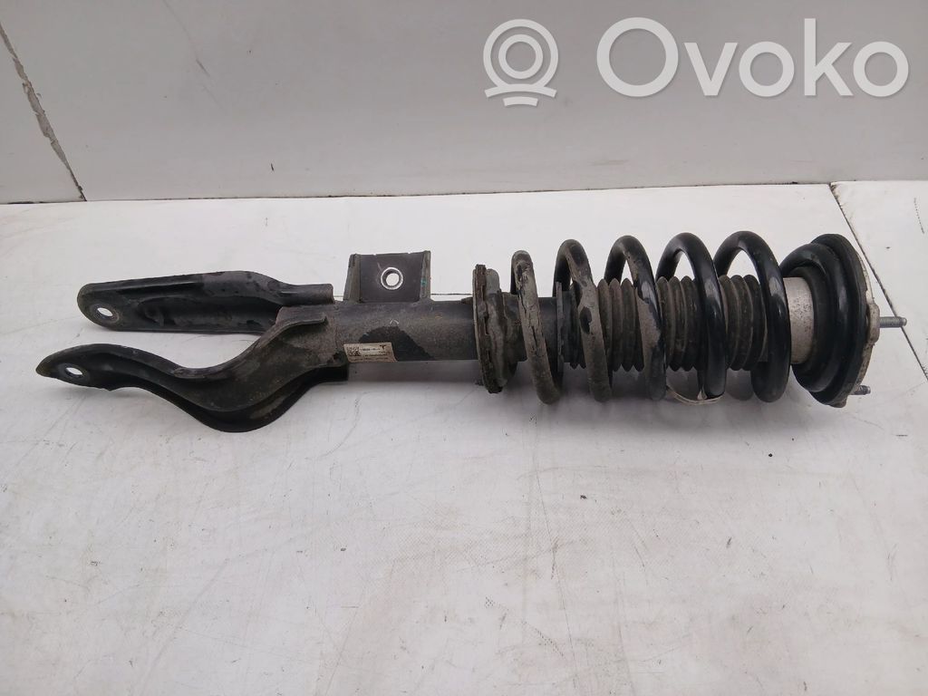 Amortiguador delantero   118836800H