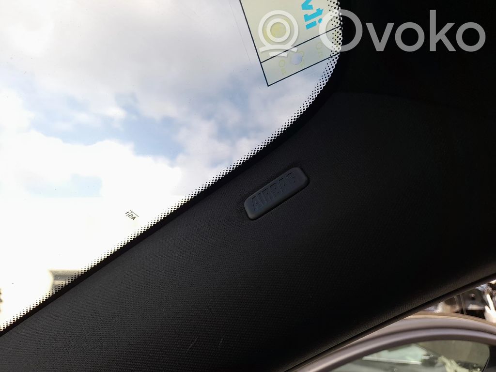 BMW X6 E71 Kattoturvatyyny