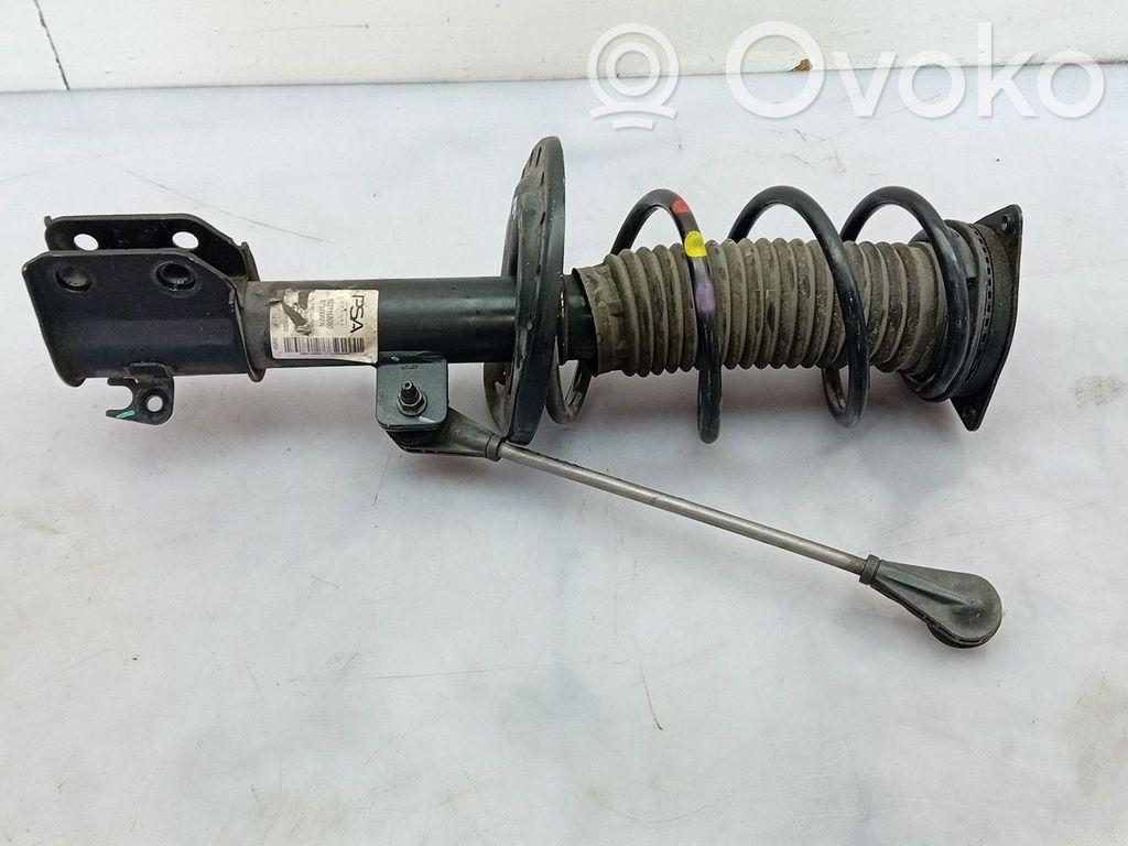 Stoßdämpfer vorne   9831168080