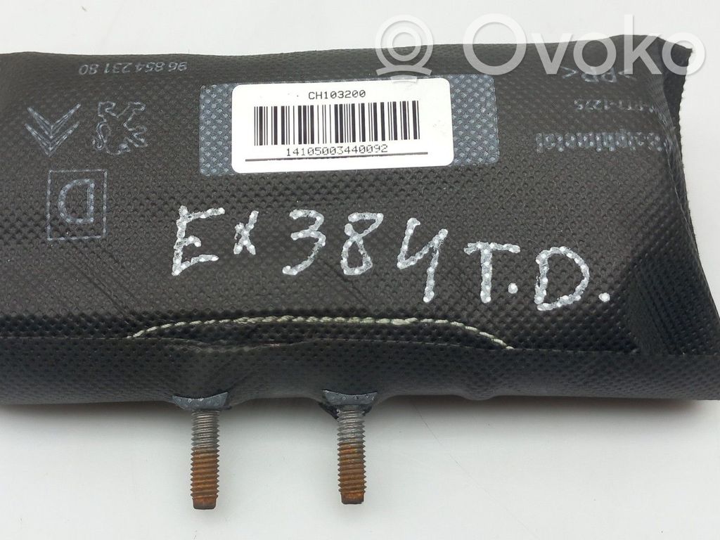Airbag lateral   9685423180,CH103200