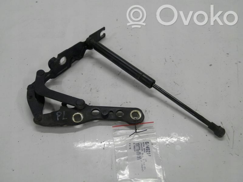 Engine bonnet/hood hinges