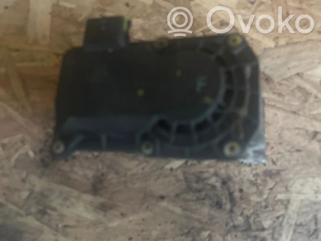 Throttle valve   161204451RD,3B0101405,4451R