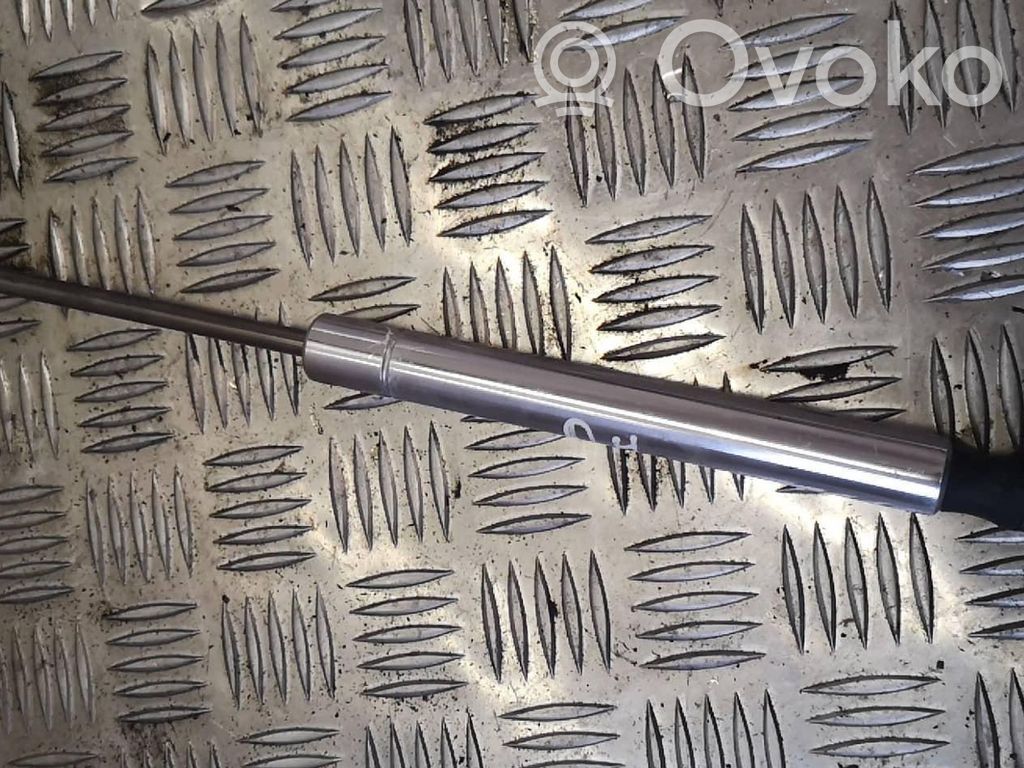 Volkswagen Phaeton Tailgate/trunk strut/damper 
