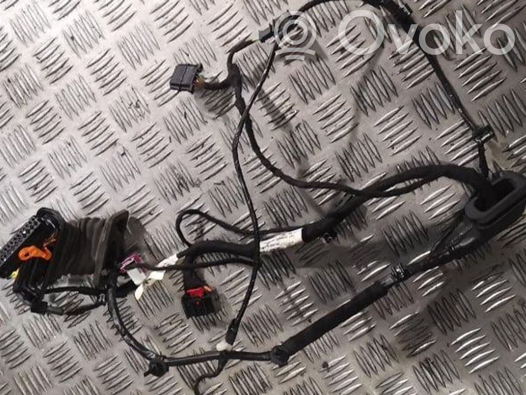 Cableado de puerta delantera   1Q0971121P