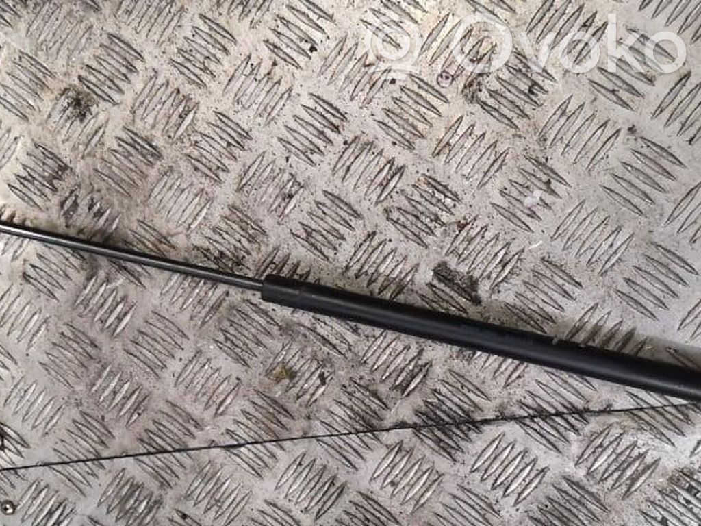 Ford Focus Tailgate/trunk strut/damper 