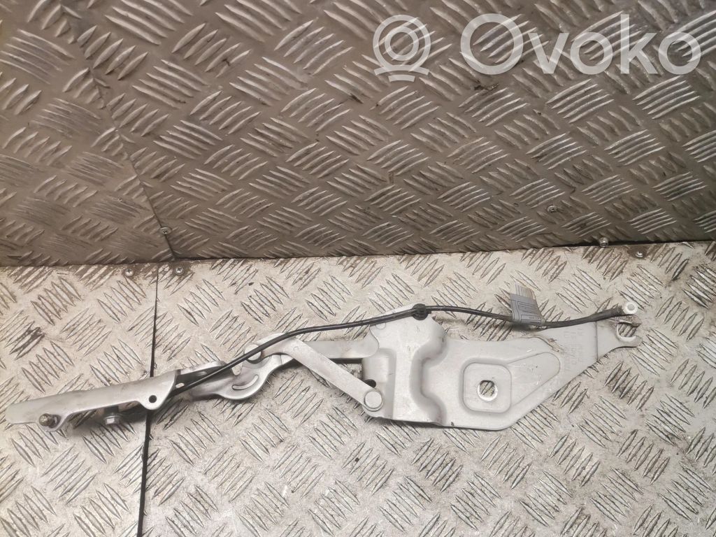 BMW X5 E70 Engine bonnet/hood hinges 