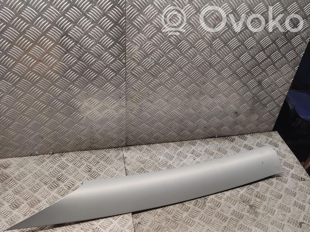 Tesla Model 3 (C) statramsčio apdaila 