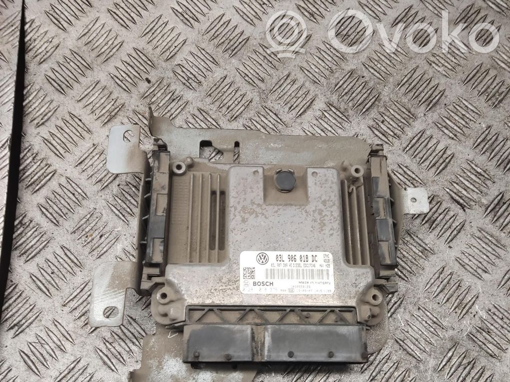 Volkswagen Caddy Engine control unit/module 