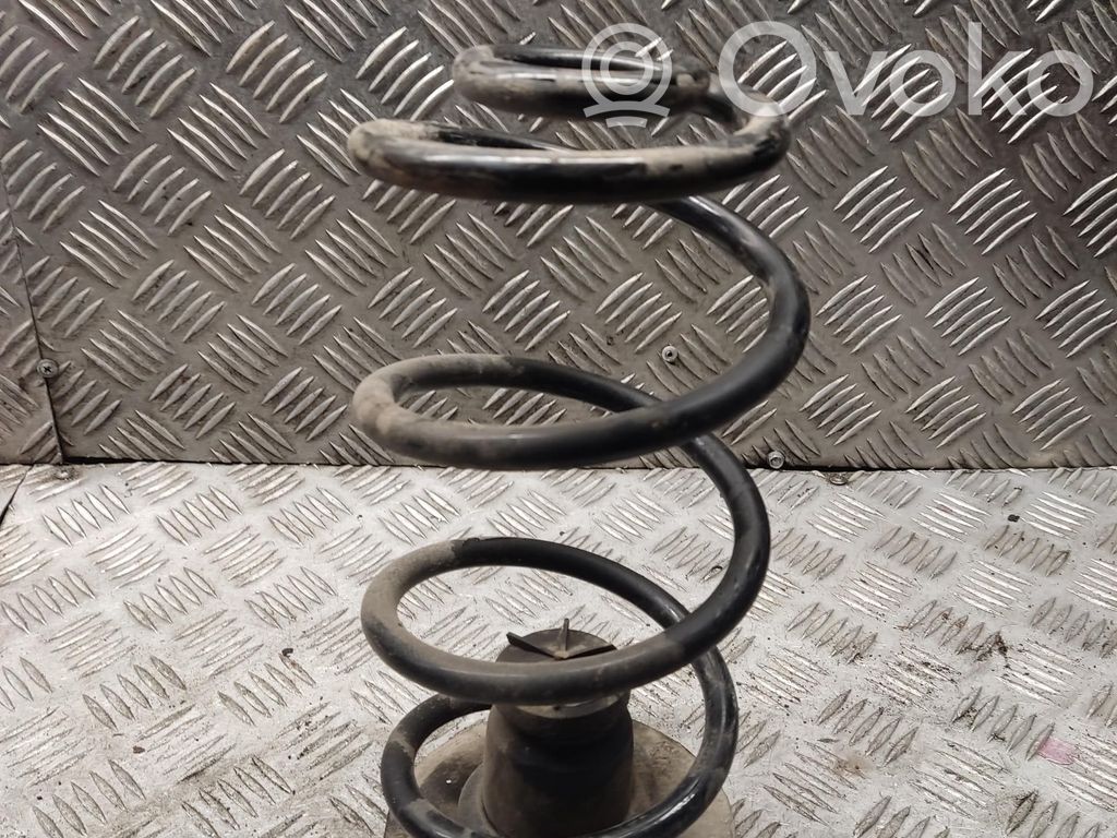 Rear coil spring