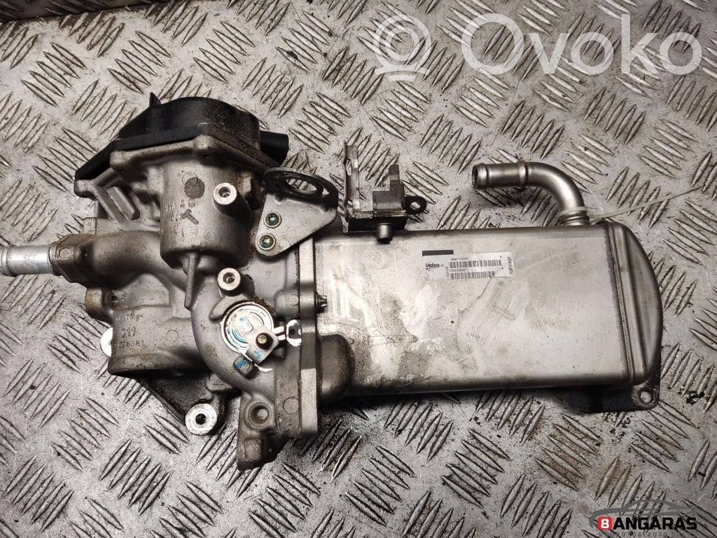 EGR valve   V29026381