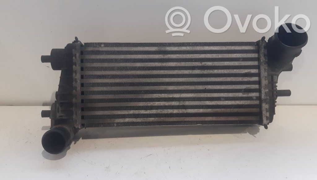 Interkūlerio radiatorius   BV619L440CG,BV619L440CG,BV619L440CG,BV619L440CG
