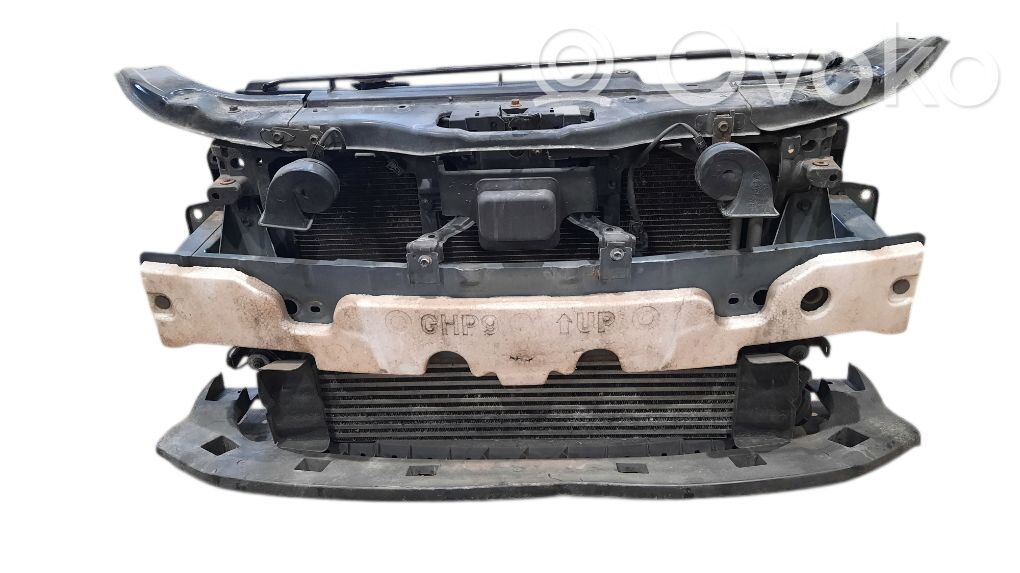 Radiatoru panelis   GHP950070,GHP950111,GHP953150,SH0113565C,SH0115150,SH0215140,SH0515210A
